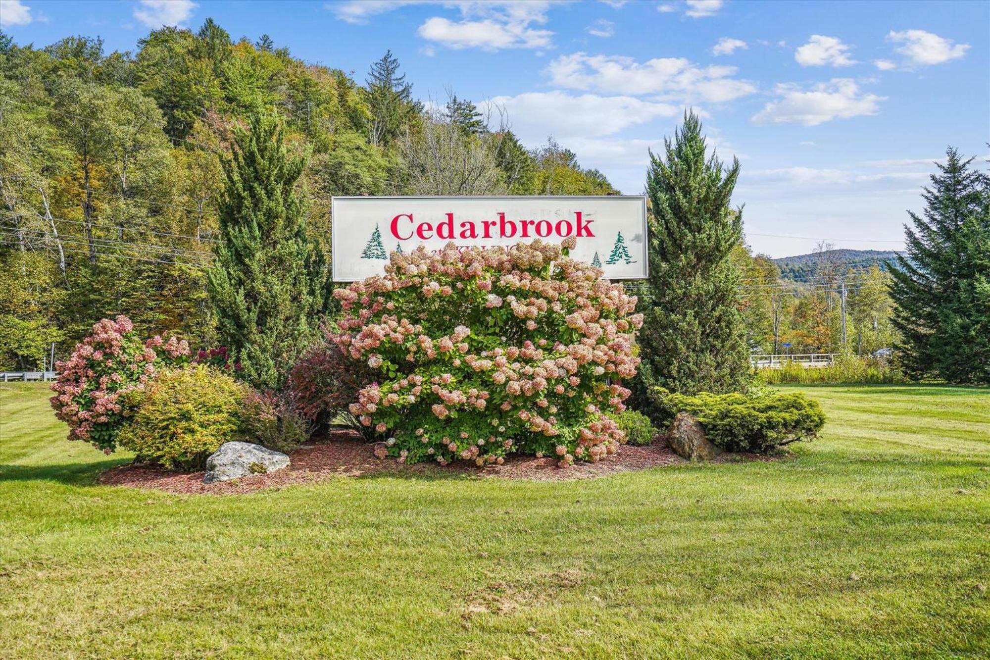 Cedarbrook Queen Suite 203 Кіллінгтон Екстер'єр фото